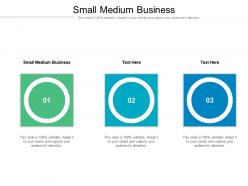 Small medium business ppt powerpoint presentation gallery influencers cpb