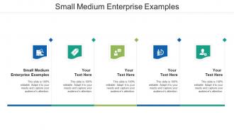 Small medium enterprise examples ppt powerpoint presentation styles graphics pictures cpb