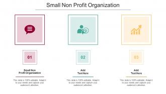 Small Non Profit Organization In Powerpoint And Google Slides Cpb