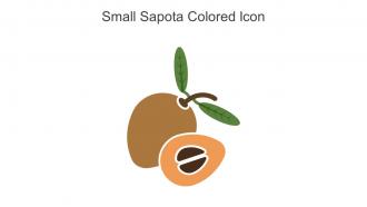 Small Sapota Colored Icon In Powerpoint Pptx Png And Editable Eps Format
