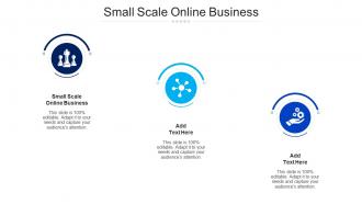 Small Scale Online Business Ppt Powerpoint Presentation Slides Portrait Cpb