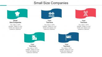 Small Size Companies Ppt Powerpoint Presentation Portfolio Deck Cpb