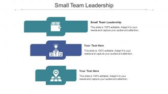 Small team leadership ppt powerpoint presentation professional graphics cpb