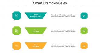 Smart Examples Sales Ppt Powerpoint Presentation Slides Rules Cpb