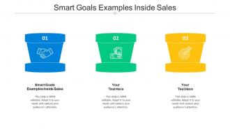 Smart goals examples inside sales ppt powerpoint presentation pictures files cpb