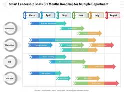 Smart leadership goals six months roadmap for multiple department