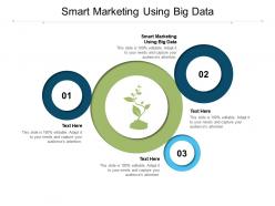 Smart marketing using big data ppt powerpoint presentation slides graphics pictures cpb