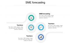 Sme forecasting ppt powerpoint presentation infographic template sample cpb