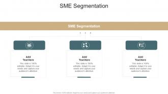 SME Segmentation In Powerpoint And Google Slides Cpb