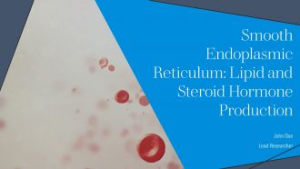 Smooth Endoplasmic Reticulum Lipid And Steroid Hormone Production PPT Summary AT