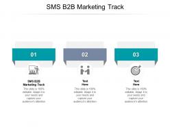 Sms b2b marketing track ppt powerpoint presentation summary vector