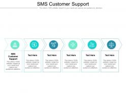 Sms customer support ppt powerpoint presentation show example topics cpb