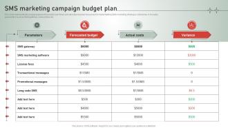 SMS Customer Support Services SMS Marketing Campaign Budget Plan