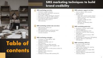 SMS Marketing Techniques To Build Brand Credibility Powerpoint Presentation Slides MKT CD V Engaging Appealing