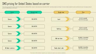 SMS Pricing For United States Sms Promotional Campaign Marketing Tactics Mkt Ss V