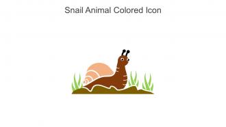 Snail Animal Colored Icon In Powerpoint Pptx Png And Editable Eps Format
