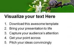 Snail nature powerpoint templates and powerpoint backgrounds 0111