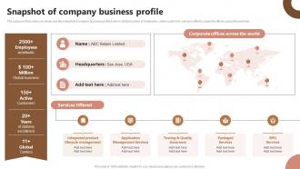 Snapshot Of Company Business Profile Strategic Plan To Foster Diversity And Inclusion