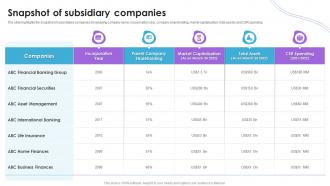 Snapshot Of Subsidiary Companies Financial Institution Company Profile