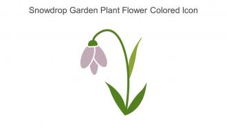 Snowdrop Garden Plant Flower Colored Icon In Powerpoint Pptx Png And Editable Eps Format