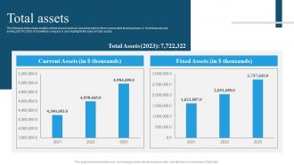 Snowflake Company Profile Total Assets Ppt Graphics CP SS