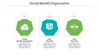 Social benefit organization ppt powerpoint presentation gallery example cpb