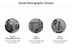 Social demographic groups ppt powerpoint presentation show themes cpb