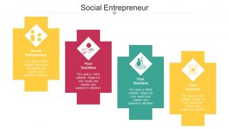 Social Entrepreneur Ppt Powerpoint Presentation Inspiration Gridlines Cpb
