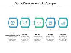 Social entrepreneurship example ppt powerpoint presentation background image cpb