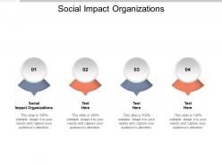 Social impact organizations ppt powerpoint presentation icon example introduction cpb