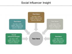 Social influencer insight ppt powerpoint presentation visual aids diagrams cpb