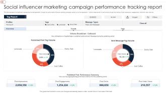 Social Influencer Marketing Campaign Performance Tracking Report