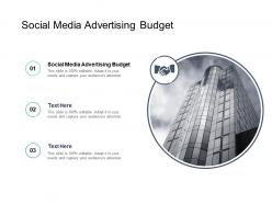 Social media advertising budget ppt powerpoint presentation model structure cpb