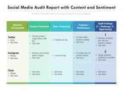 Social media audit report with content and sentiment