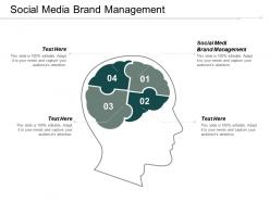 Social media brand management ppt powerpoint presentation pictures summary cpb