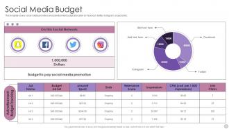 Social Media Budget Advertising Agency Pitch Presentation Ppt