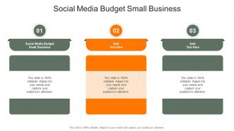Social Media Budget Small Business In Powerpoint And Google Slides Cpb