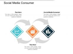 Social media consumer ppt powerpoint presentation pictures inspiration cpb
