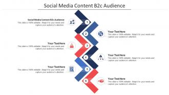 Social media content b2c audience ppt powerpoint presentation gallery example cpb