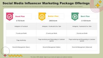 Social Media Influencer Marketing Package Offerings