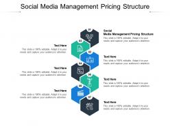 Social media management pricing structure ppt powerpoint presentation gallery display cpb