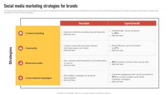 Social Media Marketing Strategies For Brands Introduction To Direct Marketing Strategies MKT SS V