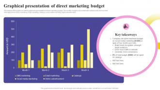Social Media Marketing Strategy Graphical Presentation Of Direct Marketing Budget MKT SS V