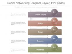 Social networking diagram layout ppt slides