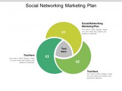 Social networking marketing plan ppt powerpoint presentation model display cpb
