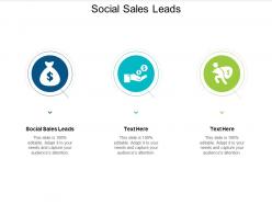 Social sales leads ppt powerpoint presentation ideas styles cpb