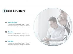 Social structure ppt powerpoint presentation icon show cpb