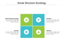 Social structure sociology ppt powerpoint presentation gallery slides cpb