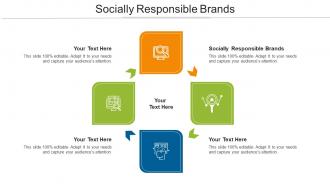 Socially Responsible Brands Ppt Powerpoint Presentation Gallery Professional Cpb