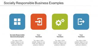 Socially Responsible Business Examples Ppt Powerpoint Presentation Layouts Deck Cpb